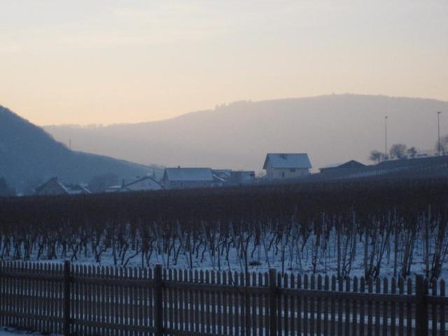 Moselschoen 2.0 Alken Zewnętrze zdjęcie